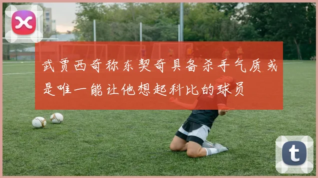 武贾西奇称东契奇具备杀手气质或是唯一能让他想起科比的球员