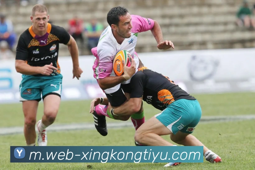 App Interface Preview