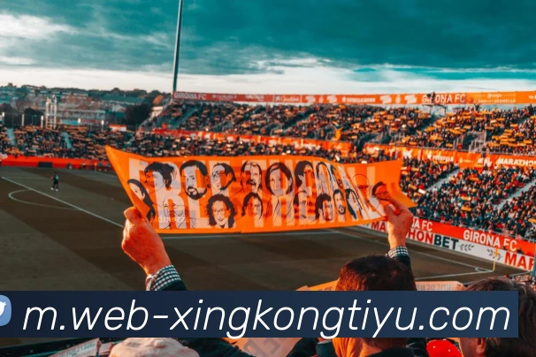 星空体育APP 封面图